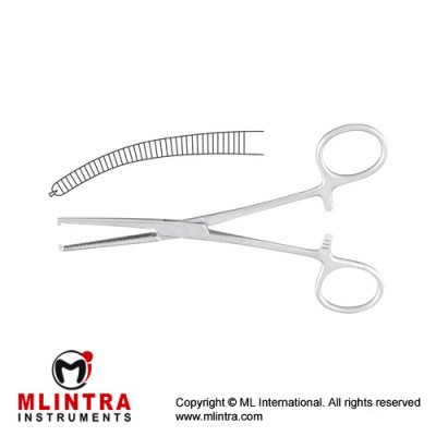 Kocher Haemostatic Forceps Curved - 1 x 2 Teeth Stainless Steel, 15 cm - 6"